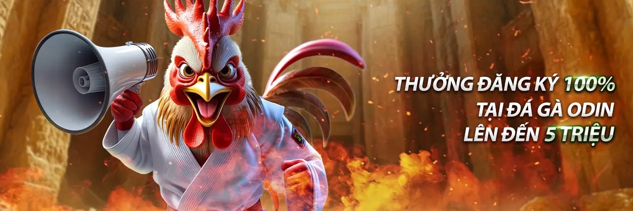 Giao diện ứng dụng KU Casino trên điện thoại